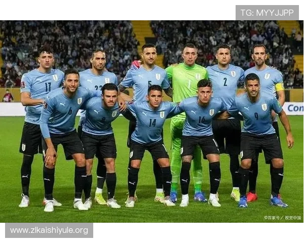乌拉圭与西班牙在世界杯中的关键球员表现分析及未来比赛展望